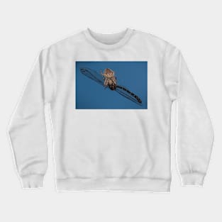 Captured Crewneck Sweatshirt